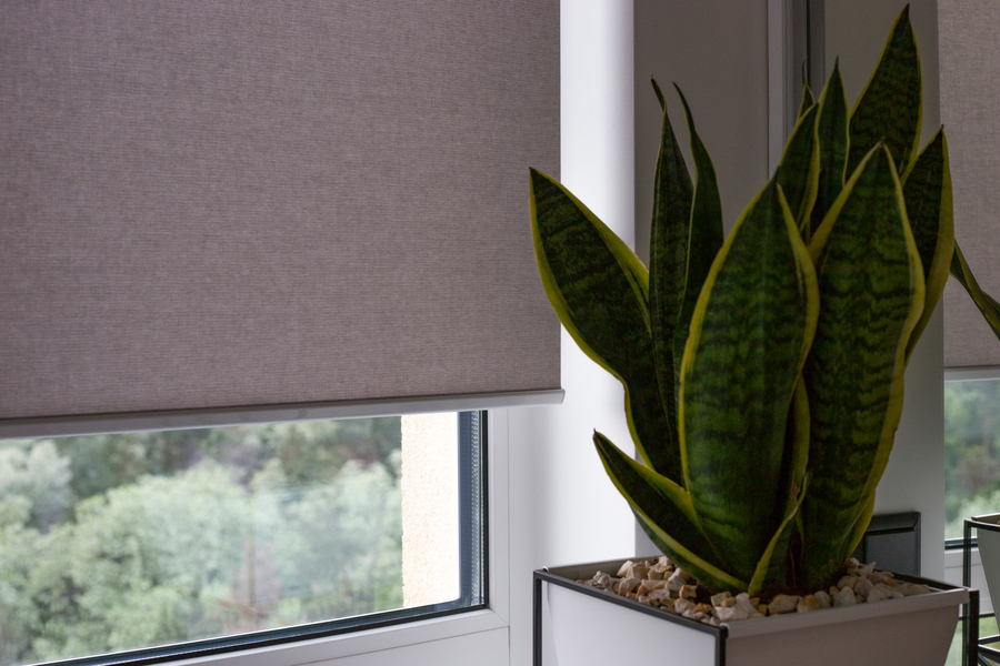 Keep Your Home Cool and Energy Efficient with Lutron Motorized Shades